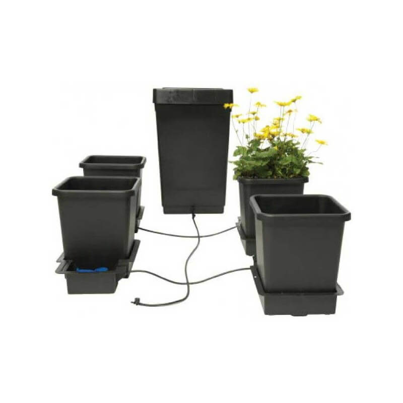 regio Verouderd veiligheid AutoPot Systeem voor 4 wietplanten: perfect automatisch water geven!